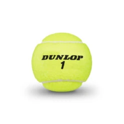 Ball Games Store -Ball Games Store DT19 601349 ATPCHAMPIONSHIPEXTRADUTY BALL 02 2f69994f 3421 4a0c a9ab 25ab650399c7