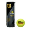 Wilson US Open Extra Duty Tennis Balls