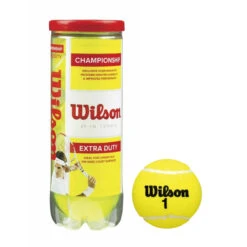 Wilson Championship Extra Duty Tennis Balls